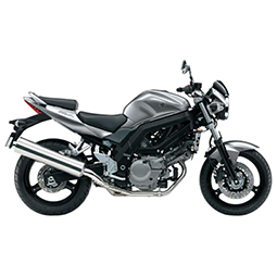 SV 650/1000 (04-09)