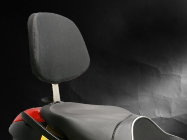 BMW K 1200/1300 S 05-16 SARGENT PASSENGER BACKREST, DTX