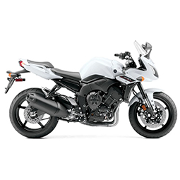 FZ-1 (06-15)
