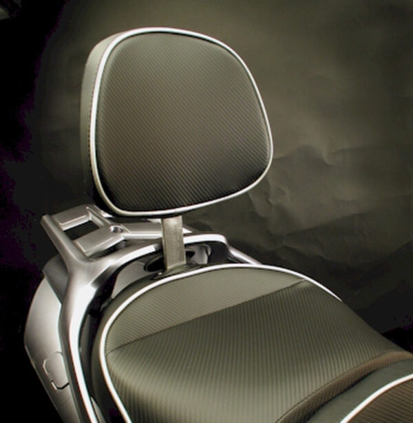 PASSENGER BACKREST YAMAHA FJR1300 03-05